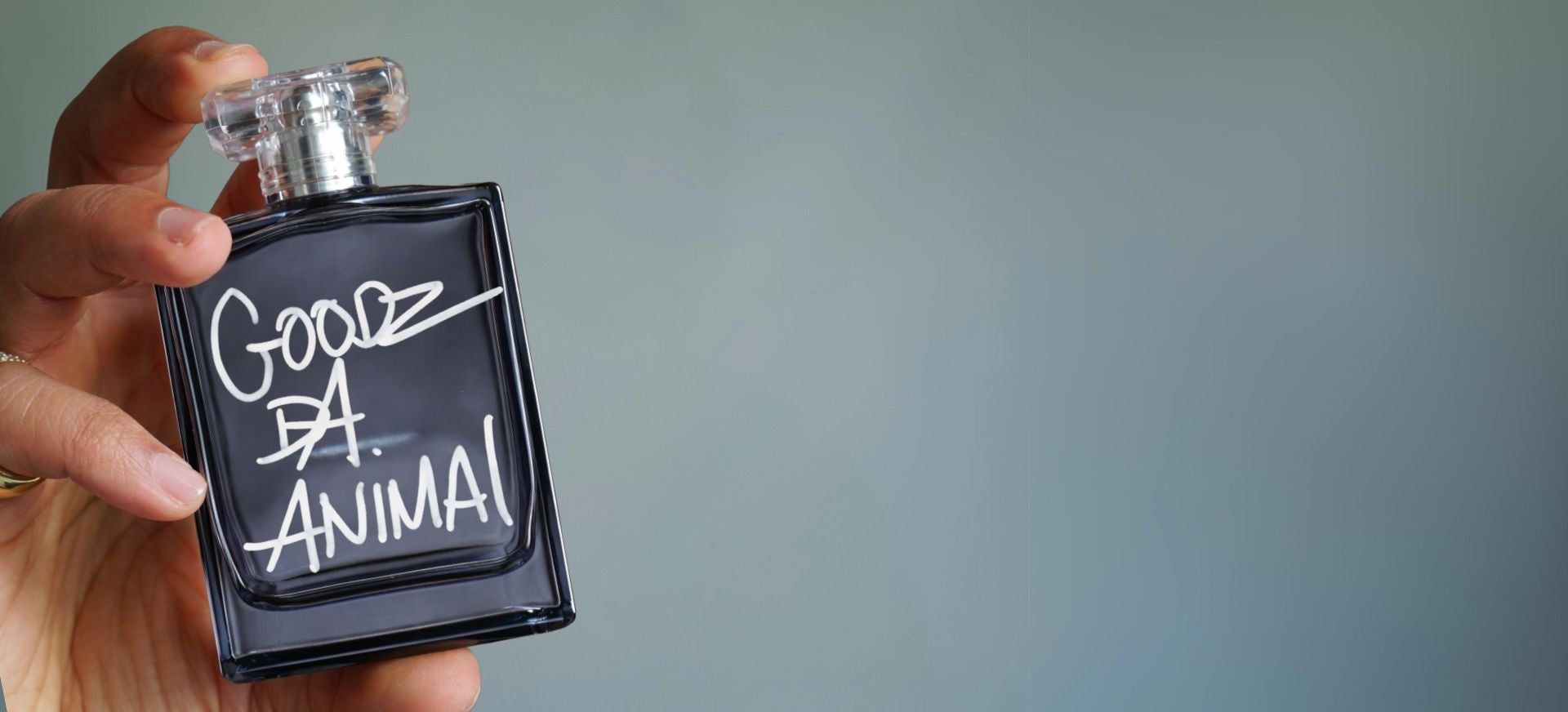 slider image slider_item_LLnrFC